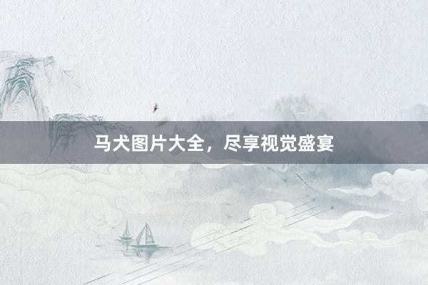 马犬图片大全，尽享视觉盛宴