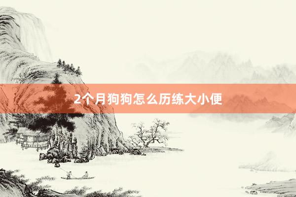 2个月狗狗怎么历练大小便