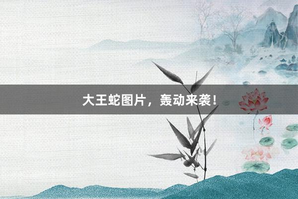 大王蛇图片，轰动来袭！